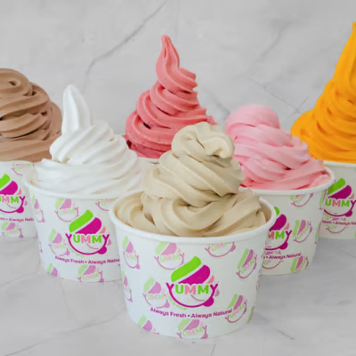 Yummy Frozen Yogurt Aventura